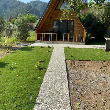 Holiday home Olive Garden Bungalov Ortaca (Mugla)